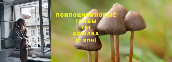 первитин Богданович